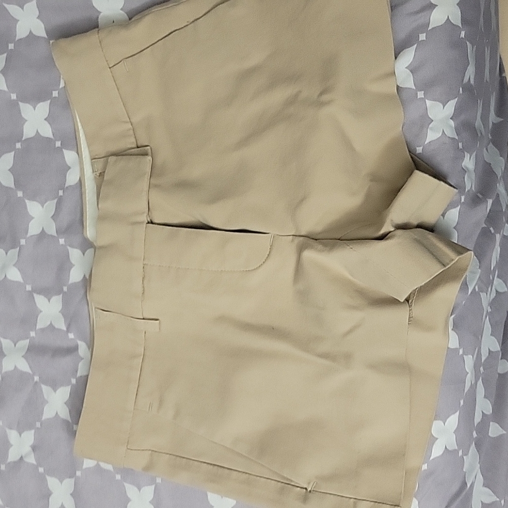 Theory Khaki shorts